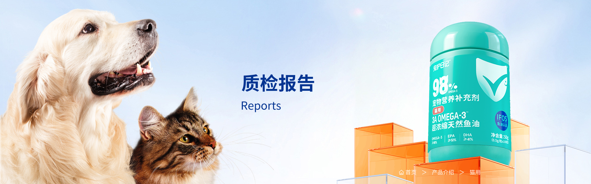质检报告