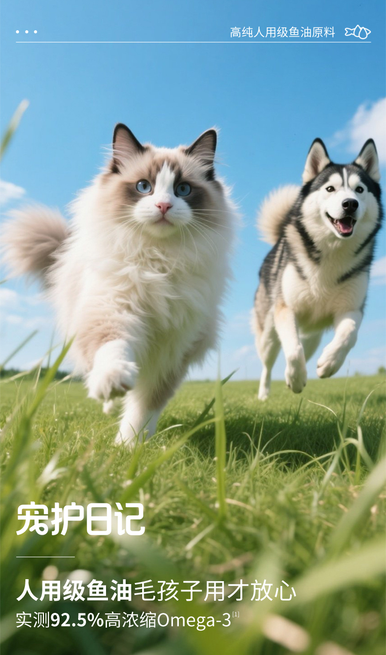 宠护日记 人用级鱼油